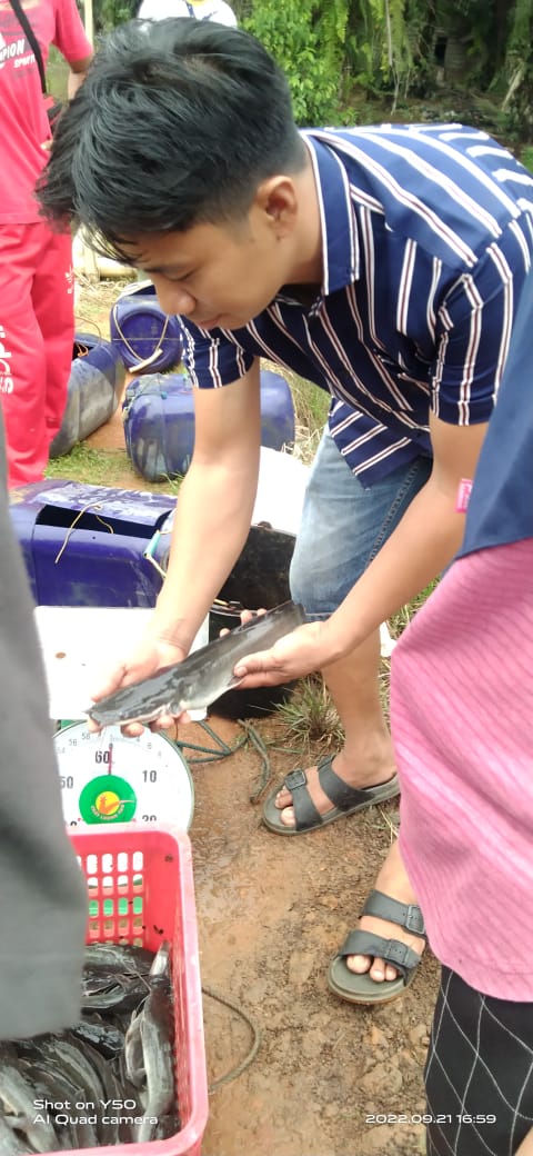 KETAHANAN PANGAN DESA CAHAYA NEGERI